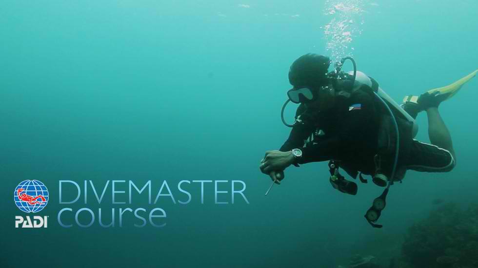 dive master course