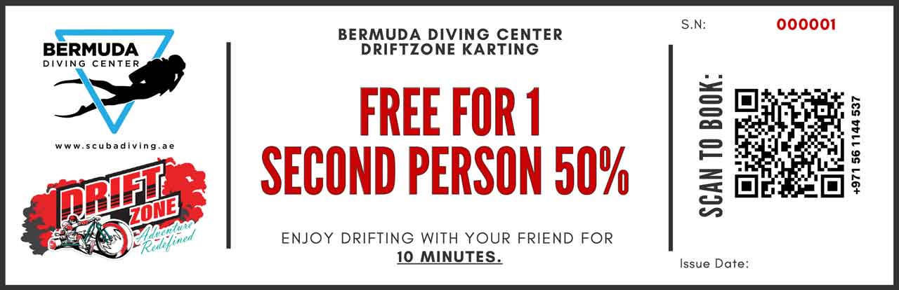 Bermuda Scuba Diving Center interaction with fish
